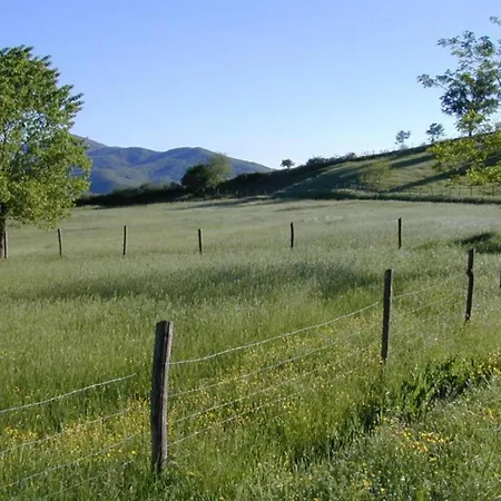 Charming House In Tuscany With Pool Monte Castelli