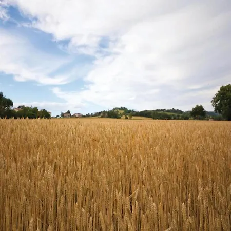 Tatil Evi Charming House In Tuscany With Pool Monte Castelli