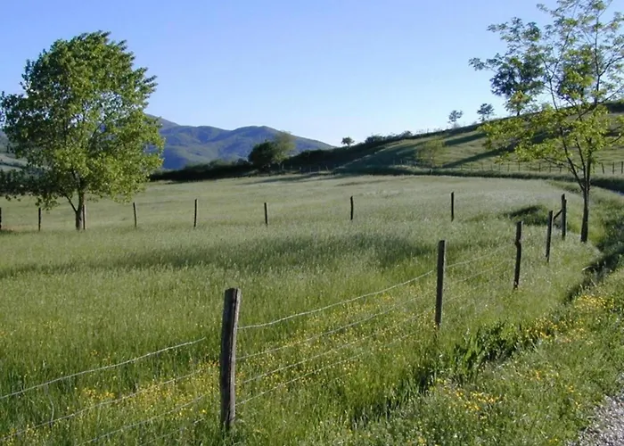 Charming House In Tuscany With Pool Monte Castelli