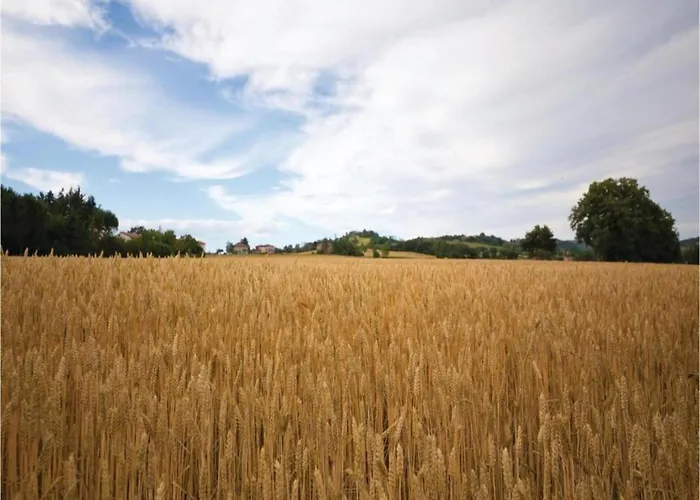 Casa de Férias Charming House In Tuscany With Pool Monte Castelli